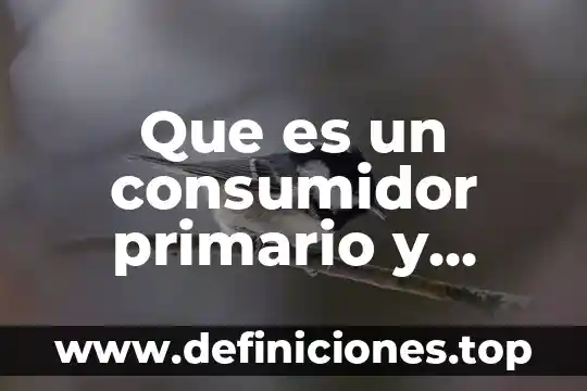 Que es el objetivo secundario 6 Que es un consumidor primario y secundario