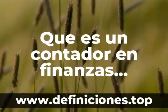 Que es una administracion de finanzas 3 Que es un contador en finanzas publicas