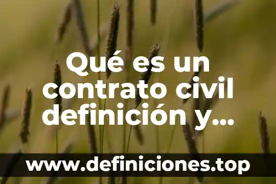Qué es un contrato civil definición y ejemplo