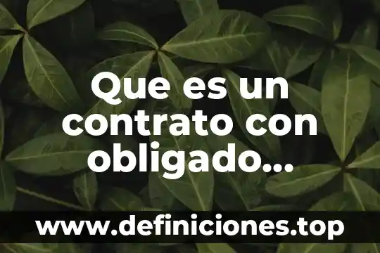 Que es un proyecto solidario y como se hace 6 Que es un contrato con obligado solidario