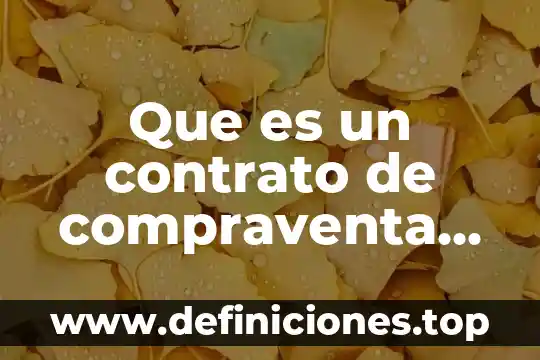 Que es un consejo nacional de turismo 4 Que es un contrato de compraventa nacional