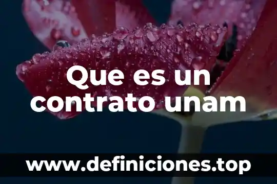 Contrato factoring que es 5 Que es un contrato unam