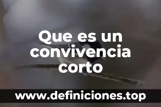 Que es un convivencia corto