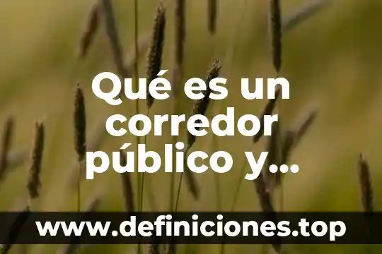 Qué es un o corredor en ventas 6 Qué es un corredor público y facultades