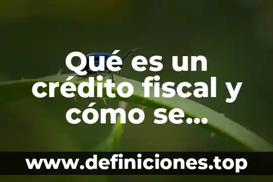 Que es una descripcion en general 8 Qué es un crédito fiscal y cómo se genera