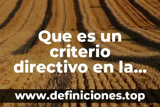 Que es la reforma educativa 2017-2018 7 Que es un criterio directivo en la reforma penal