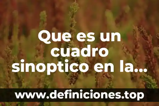 Cuadro sinóptico de que es el arte 6 Que es un cuadro sinoptico en la escuela primaria