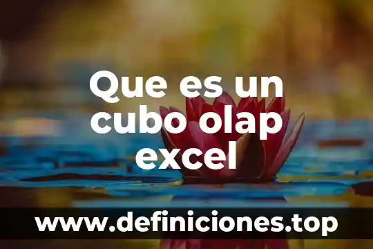 Que es la barra de tareas de excel 4 Que es un cubo olap excel