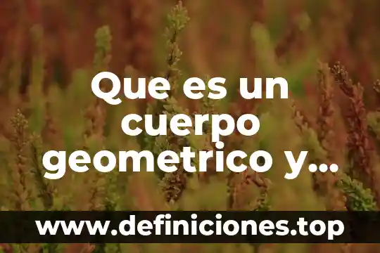 Qué es figura orgánica 6 Que es un cuerpo geometrico y una figura geometrica