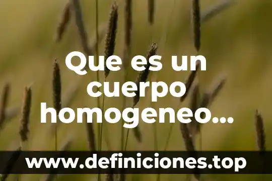 Qué es el colon parte del cuerpo 7 Que es un cuerpo homogeneo definicion