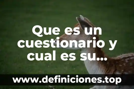 Que es el inali y cual es su funcion 8 Que es un cuestionario y cual es su objetivo