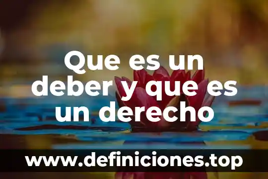 Que es estereotipo informacion 5 Que es un deber y que es un derecho