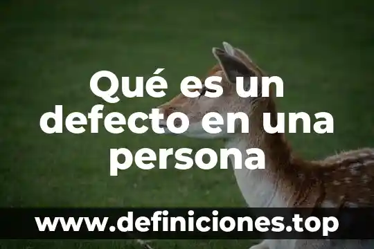 Que es el defecto interno de la bomba de gasolina 5 Qué es un defecto en una persona