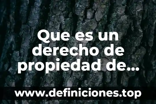 Que es un titular de celular 8 Que es un derecho de propiedad de otro titular