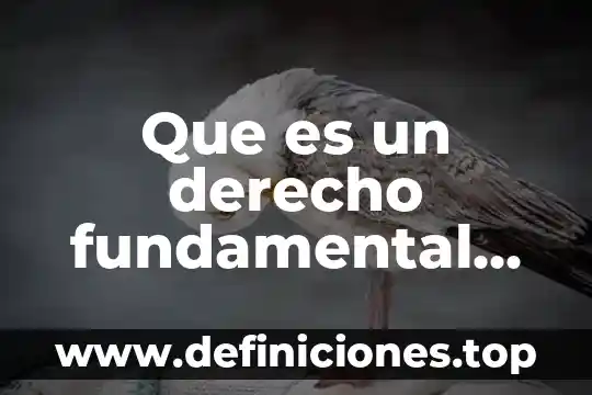 Que es un derecho fundamental definicion