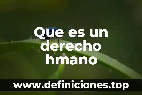 Que es costumbre en derecho ejemplo 7 Que es un derecho hmano