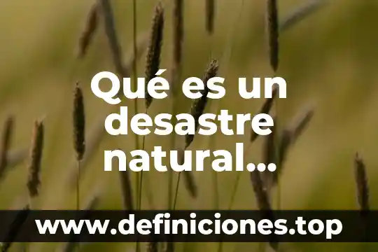Qué es un desastre natural concepto