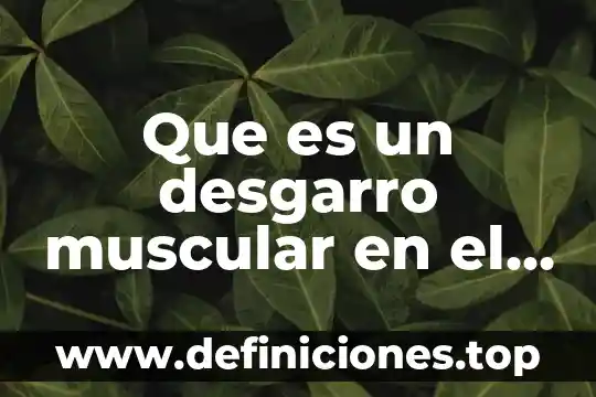 Que es inestabilidad del hombro 8 Que es un desgarro muscular en el hombro