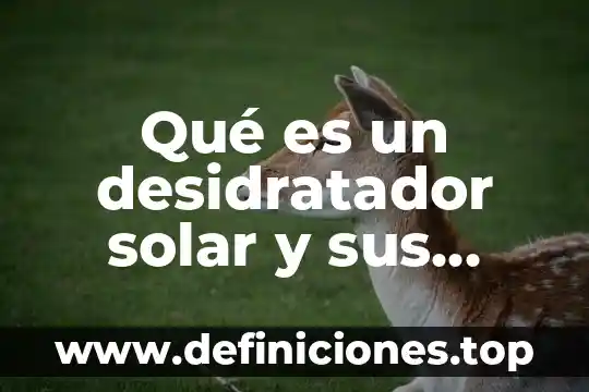 Que es el secado solar 4 Qué es un desidratador solar y sus características