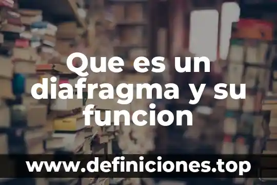 Que es un diafragma y su funcion