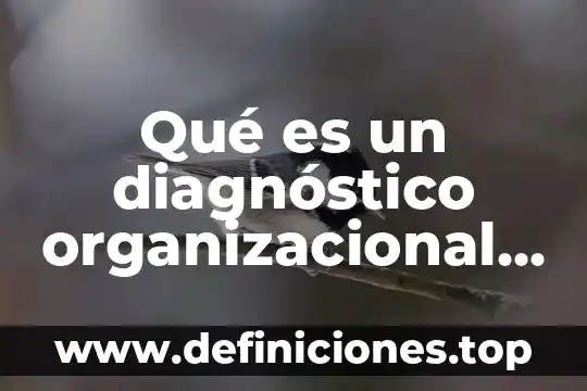 Qué es un diagnóstico organizacional año 2011 a 2017