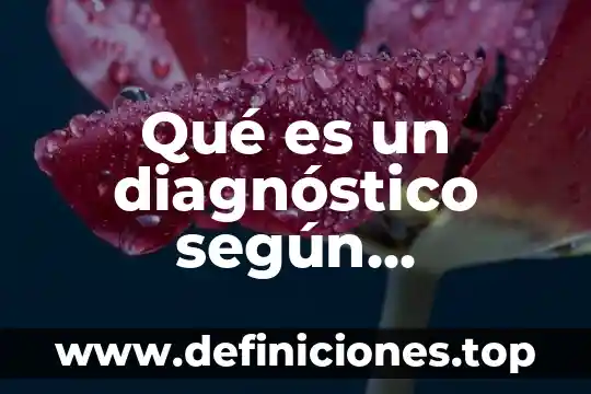 Qué es un diagnóstico según Hermosillo