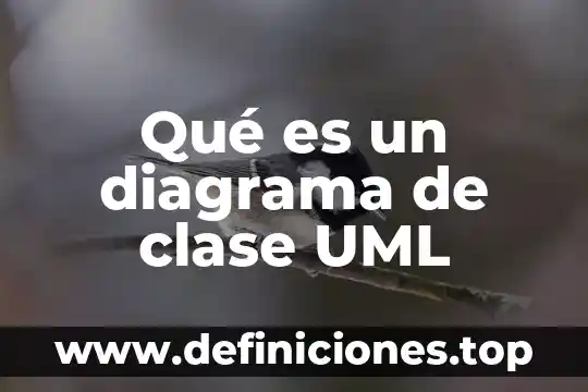 Que es el dominio del lenguaje uml 8 Qué es un diagrama de clase UML