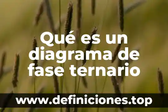 Que es una fase de control en circuitos 8 Qué es un diagrama de fase ternario