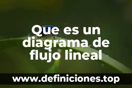 Que es un mapa diagrama 5 Que es un diagrama de flujo lineal