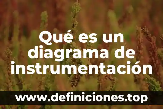 Que es unh diagrama de flujo 6 Qué es un diagrama de instrumentación