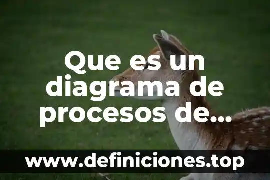 Qué es el diagrama de sol 7 Que es un diagrama de procesos de decision