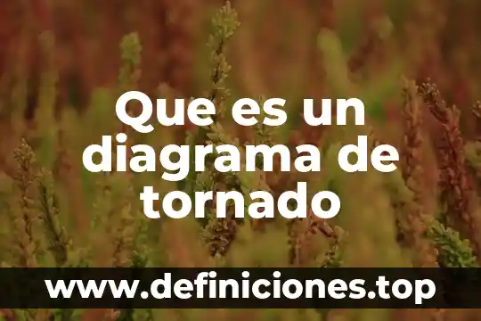 Que es epidemilogia internacional 8 Que es un diagrama de tornado