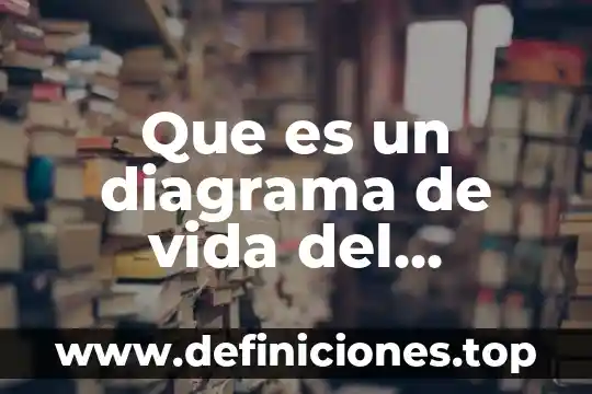 Que es un mapa diagrama 4 Que es un diagrama de vida del consumidor