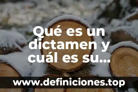 Qué es el área académica y cuál es su finalidad 8 Qué es un dictamen y cuál es su importancia