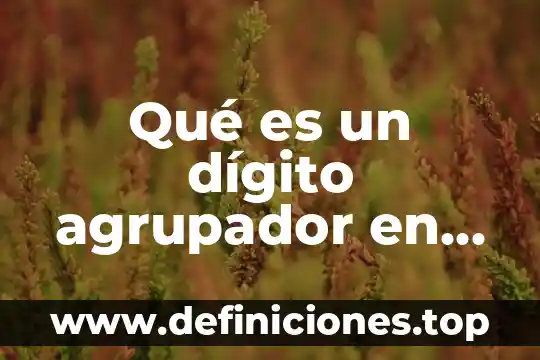 Qué es un dígito agrupador en contpaq