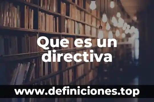 Que es un directiva