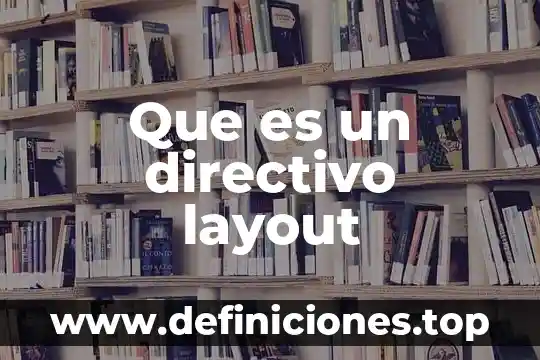 Que es un layout excel 3 Que es un directivo layout