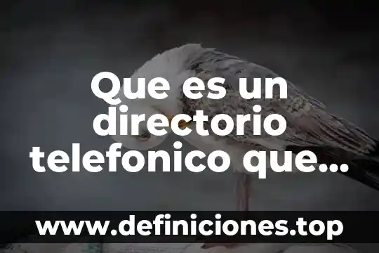 Que es un directorio telefonico que informacion contiene