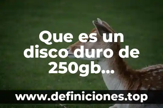 Que es el codigo ascii computadora 5 Que es un disco duro de 250gb computadora