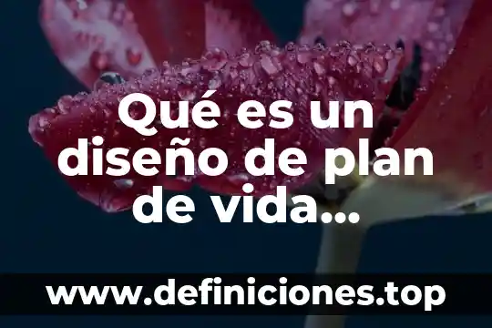 Qué es un diseño de muebles 3 Qué es un diseño de plan de vida saludable