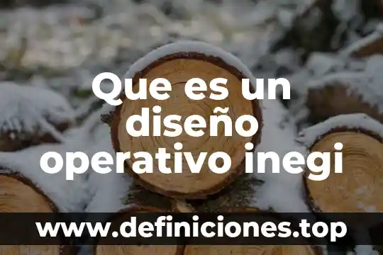 Que es un diseño operativo inegi