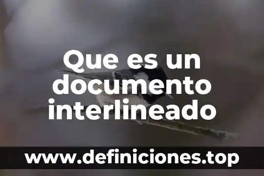 Que es un documento interlineado
