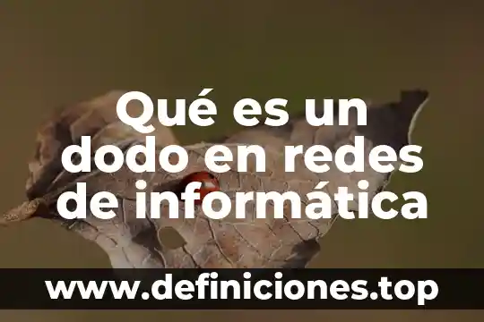 Qué es un dodo en redes de informática