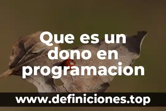 Que es el pan en una tarjeta de credito 3 Que es un dono en programacion