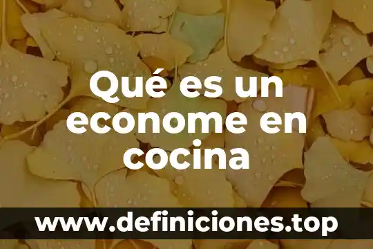 Qué es un econome en cocina