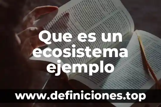 Ecosistema que es y para que sirve 5 Que es un ecosistema ejemplo