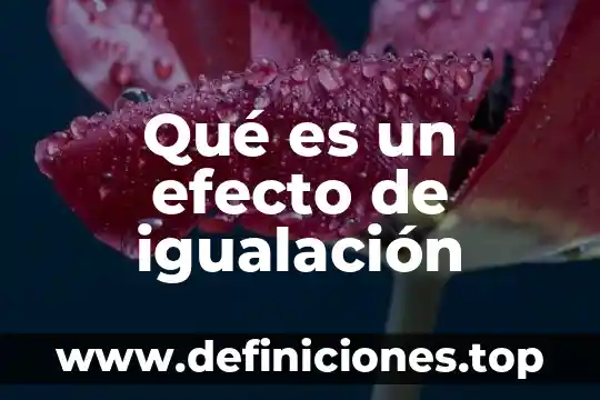 Que es un efecto perspectiva no se puede plicar a 3 Qué es un efecto de igualación