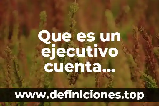 Que es un proyecto arquitectonico y ejecutivo 3 Que es un ejecutivo cuenta gobierno