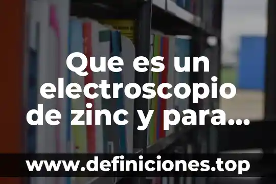 Que es la zarzaparrilla y para que sirve 8 Que es un electroscopio de zinc y para que sirve