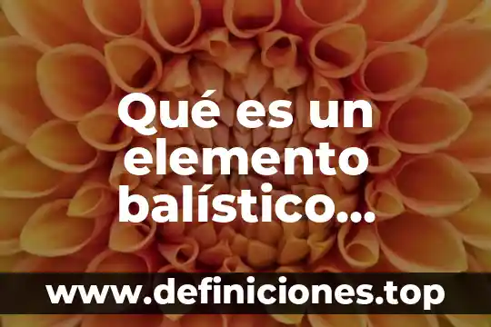 Que es un objetivo problema 5 Qué es un elemento balístico problema y testigo